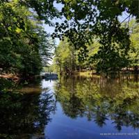 1434 Country Lane