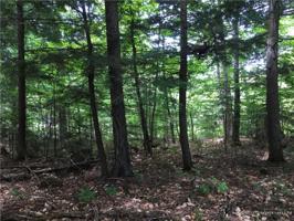 Lot 20-7 Alice DR