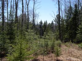 Lot 5 Manor Woods Road