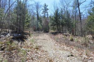 Lot 29 Hodgkin Road