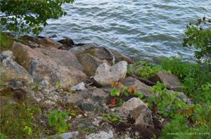 Lot #3 Pine Grove Road