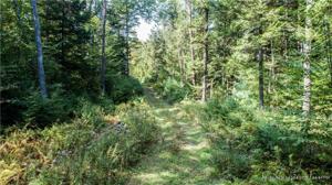Lot P2 Bakers Acres Road