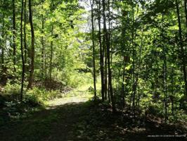 Lot 102 Fire Road 55