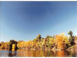 Lot 5 Tallwood Estates Drive