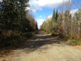 17 Bog Brook