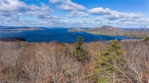 TBD Lily Bay