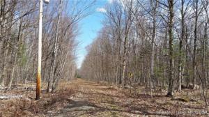 Lot 56 Deer Rd