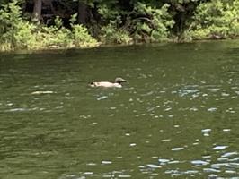 Lot6C Little Moose Pond Road