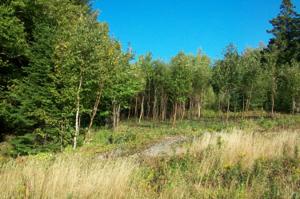 0 Summit Road