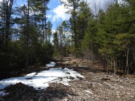 0 Balsam Trail