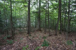 Lot #23 Sebec Shores Inc