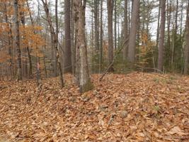 Lot 16 Cooper Lane