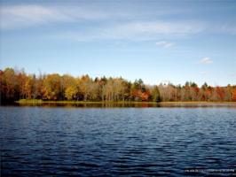 0 Pond Road