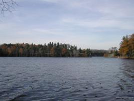 Lot 8 Tallwood Estates Drive