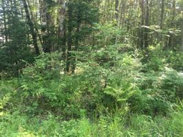 M46-L2108 Pinecrest Circle