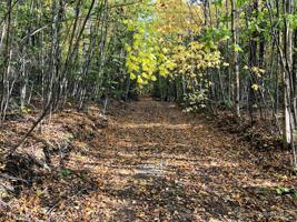 Lot 15 Sloper Lane
