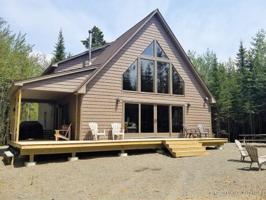 3 Bobcat LN