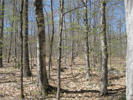 Lot 3-16 Eagle DR