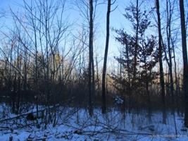TBD Lakeside Estates Drive
