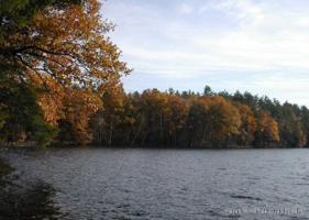 Lot 7 Tallwood Estates Drive