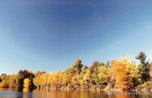 Lot 5 Tallwood Estates Drive