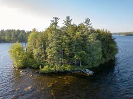 11 Pine Island