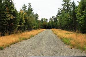 14 Tomhegan Drive