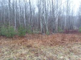 0 Bunker Hill Road