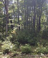 0 Raptor Ridge Road