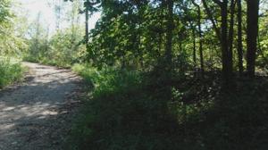 9 .50 Rock Springs Rd