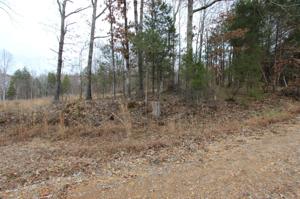 1 Rolling Hills Dr
