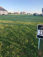 Lot 238 Hammock Dr