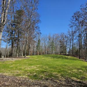 110 Mountain Harbor Dr
