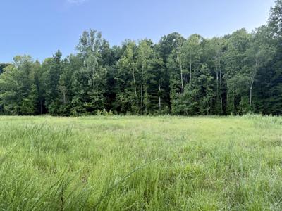 825 Lakestone Rd