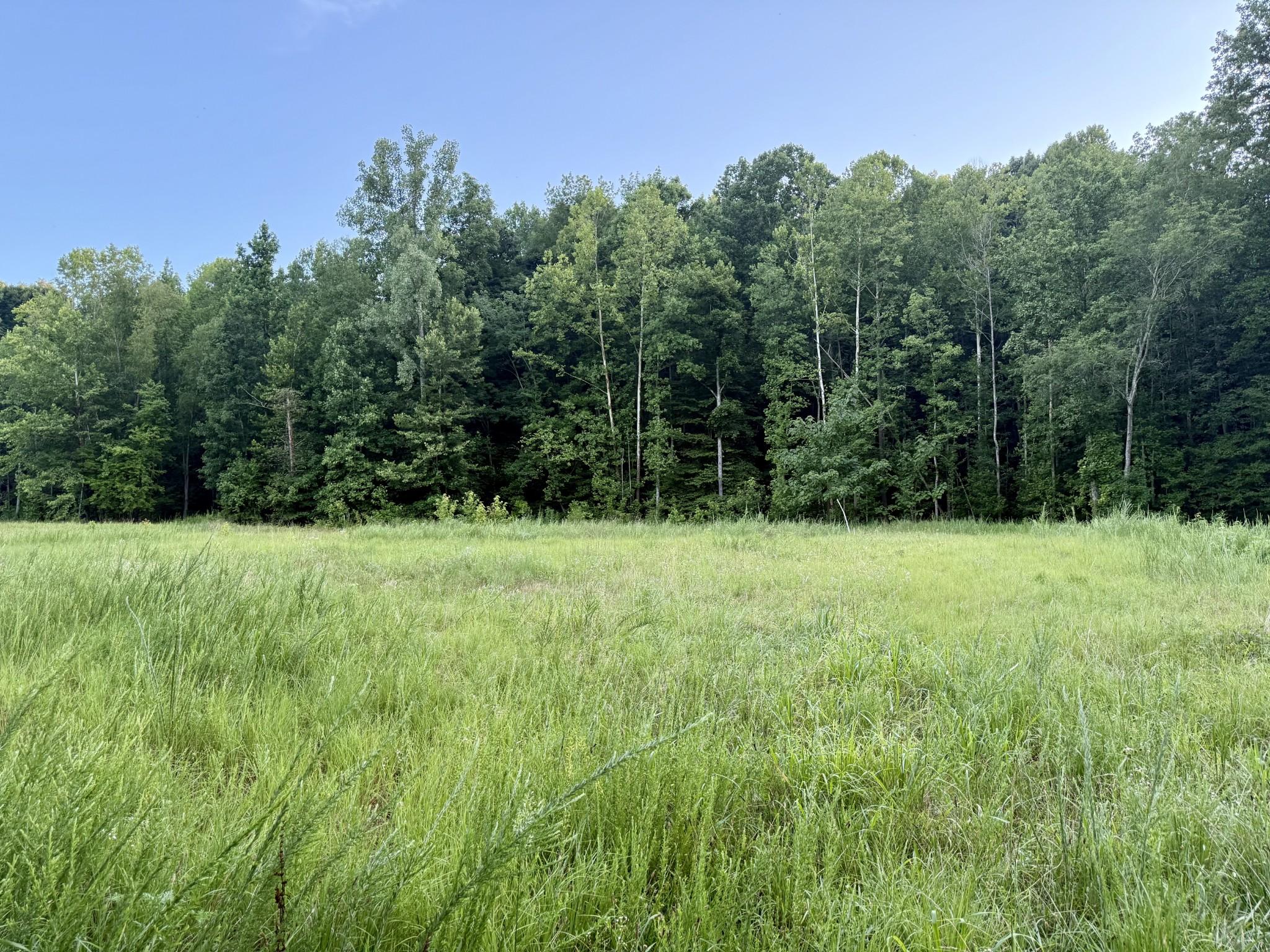 Image 1 Image 1