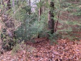 0 Blackburn Fork Rd