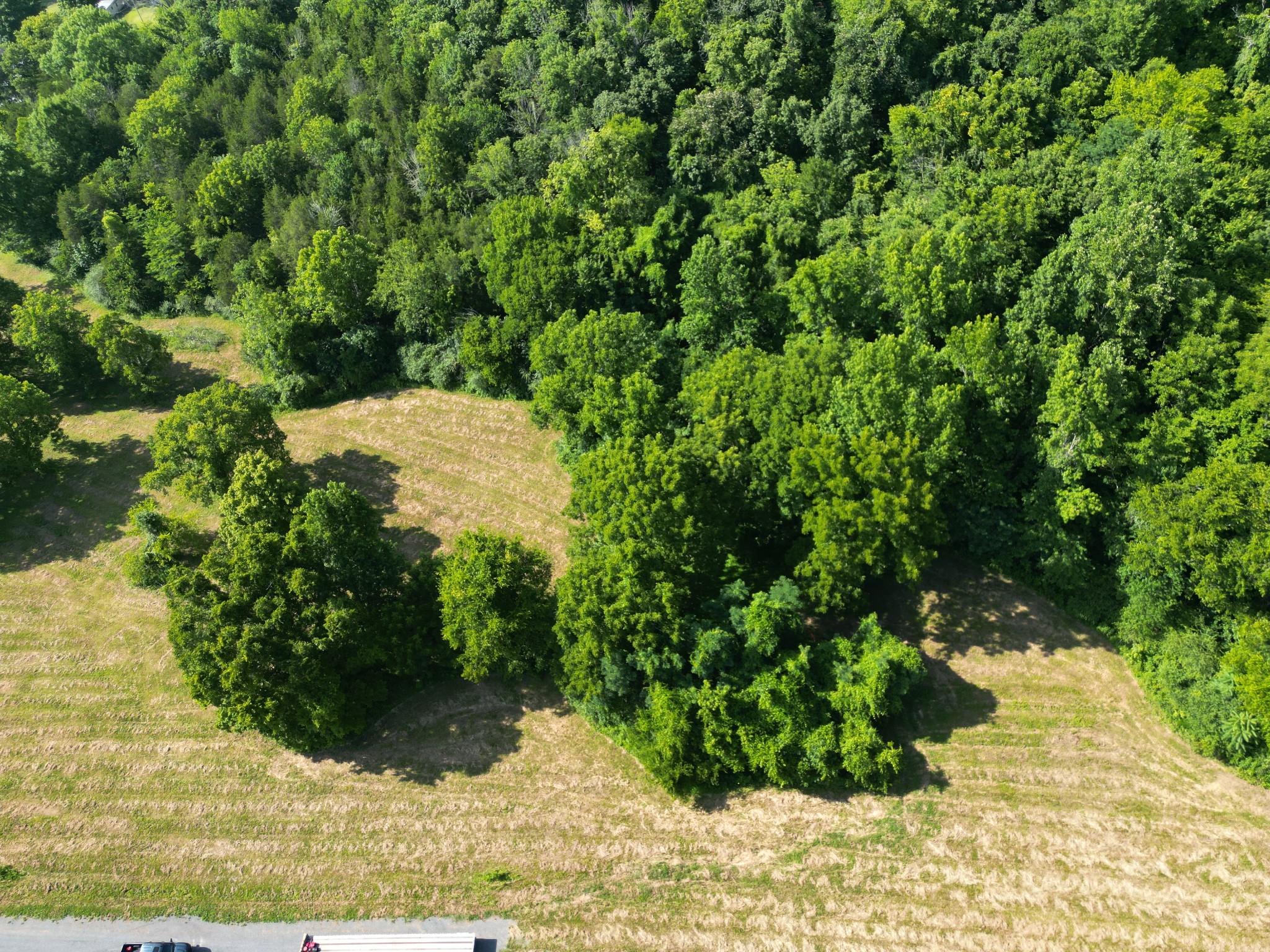 Image 1 Image 1