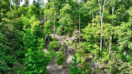 57 Ridge Top Rd