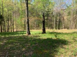 0 Perrys Pl Lot 160