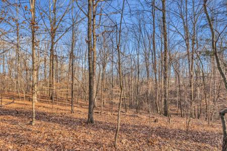 0 Woodland Way