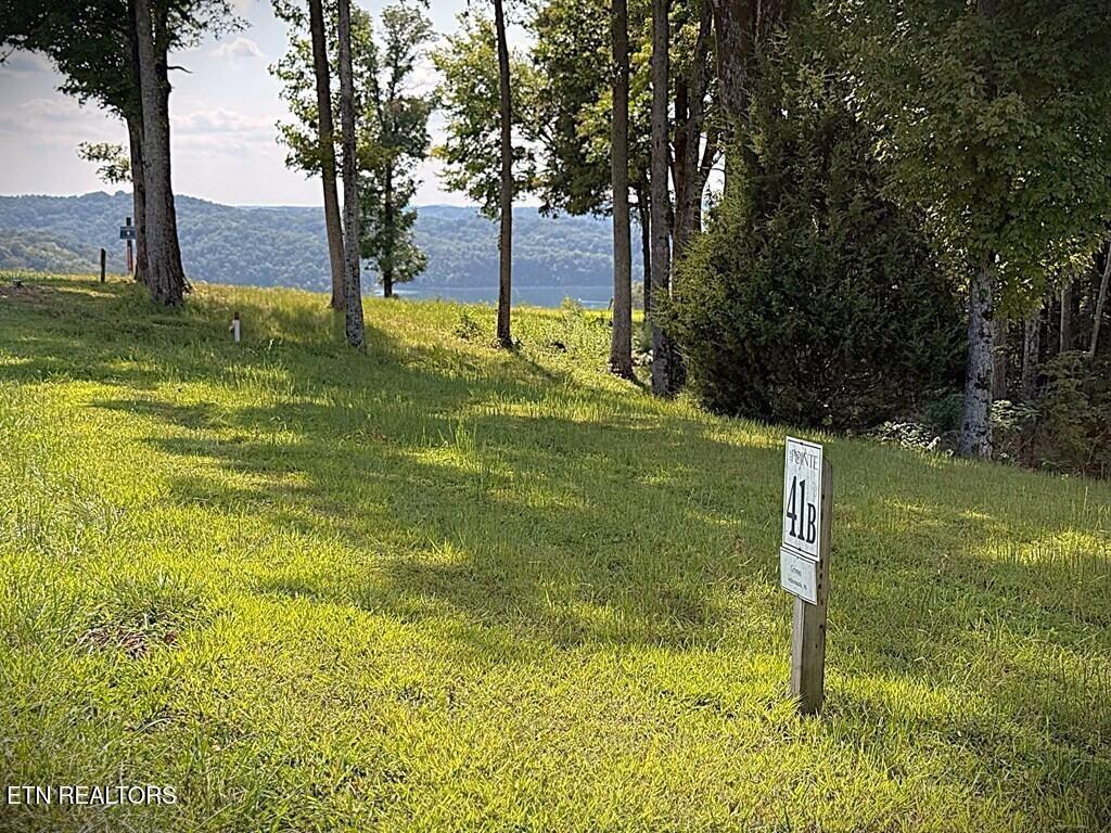 Image 3 Image 3