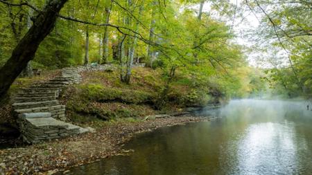 170 Warriors Path Ridge Rd