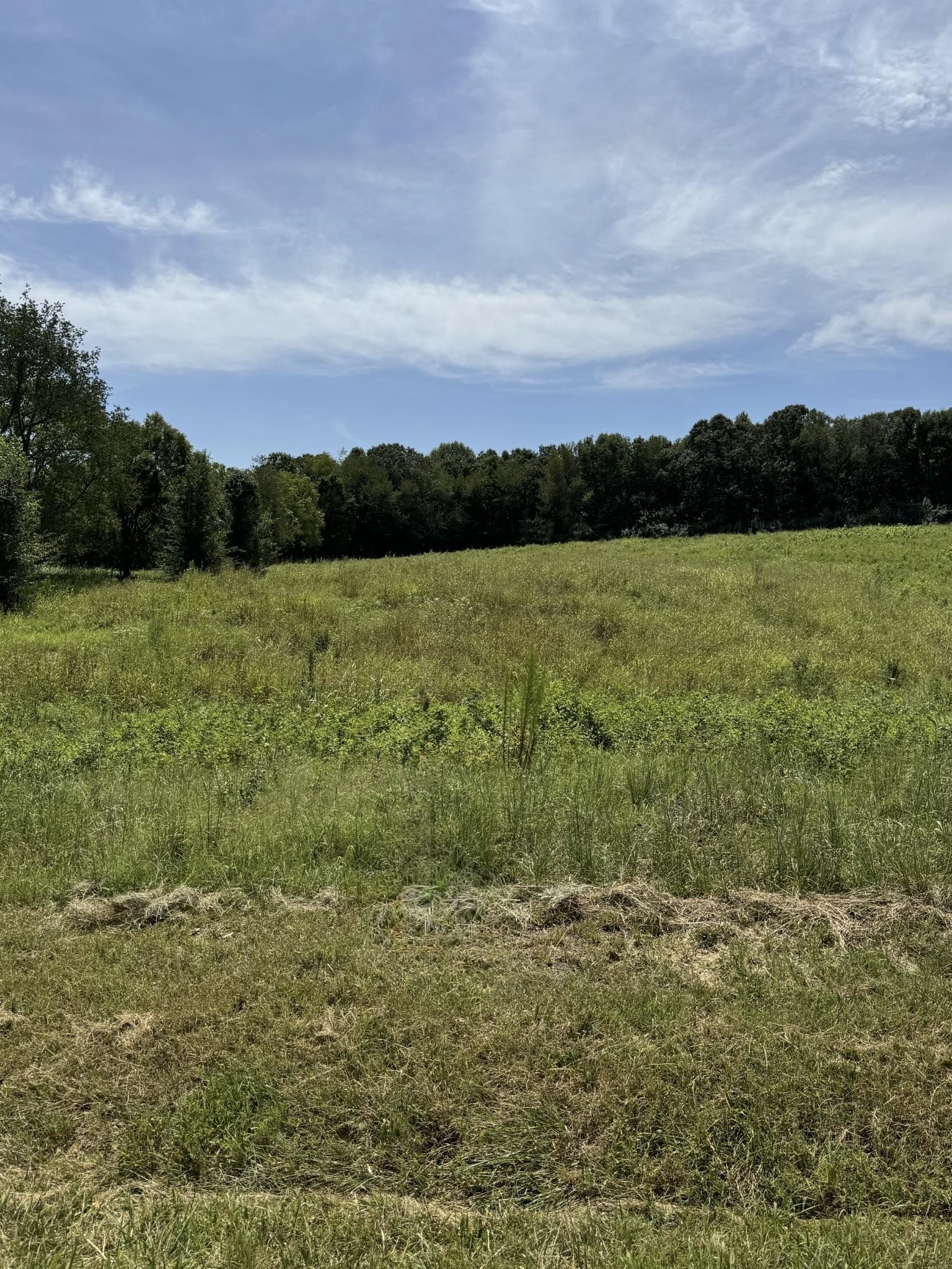 Image 3 Image 3
