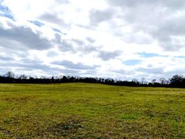 0 Rowe Gap Rd Tract 14