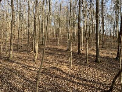 0 Forrest Crossing
