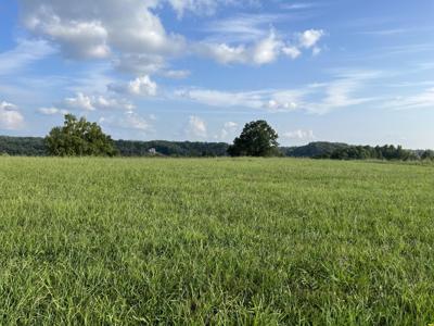 3634 Allen Bend Road