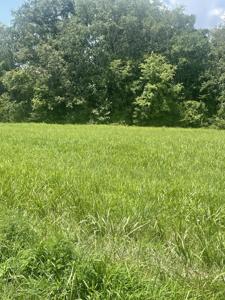 0 Summerlake Ct