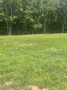 0 Summerlake Ct