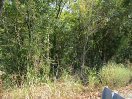 0 .40ac North of Burnette St