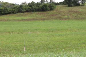 Lot 8,9 Enigma Rd
